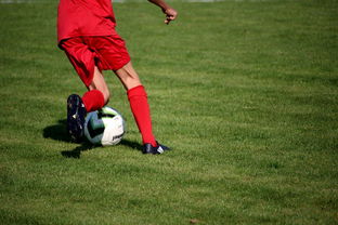 开云·体育全站登录地址-国足球员体能恢复训练取得进展，国足体能训练标准