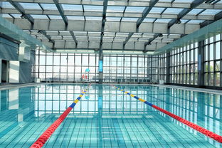 开云真人体育娱乐-世界游泳锦标赛中国运动员连续夺牌，世界游泳锦标赛中国运动员连续夺牌几次